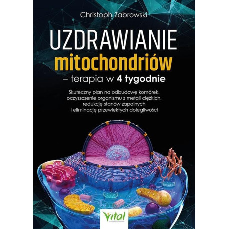 Uzdrawianie mitochondriów - terapia w 4 tygodnie