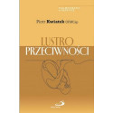 Lustro przeciwności