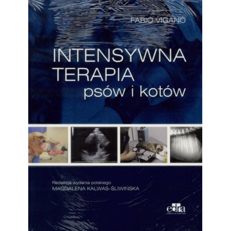 Intensywna terapia psów i kotów