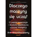 Dlaczego maszyny się uczą?