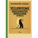Yellowstone. Kraj gorących źródeł i niedźwiedzi