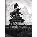 Zaginiony Górny Śląsk. Pałace, których już nie...
