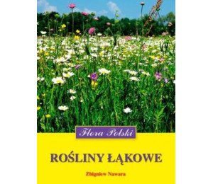 Rośliny łąkowe. Flora Polski