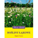 Rośliny łąkowe. Flora Polski