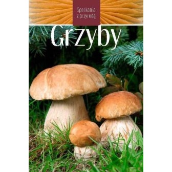 Grzyby. Spotkania z przyrodą