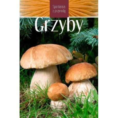 Grzyby. Spotkania z przyrodą