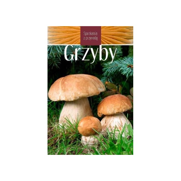Grzyby. Spotkania z przyrodą