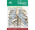 Anatomia Sobotta. Flashcards - Kości, stawy..pol.