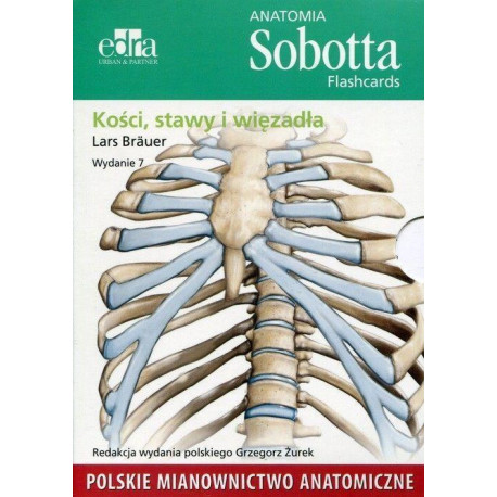 Anatomia Sobotta. Flashcards - Kości, stawy..pol.