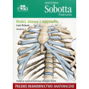 Anatomia Sobotta. Flashcards - Kości, stawy..pol.
