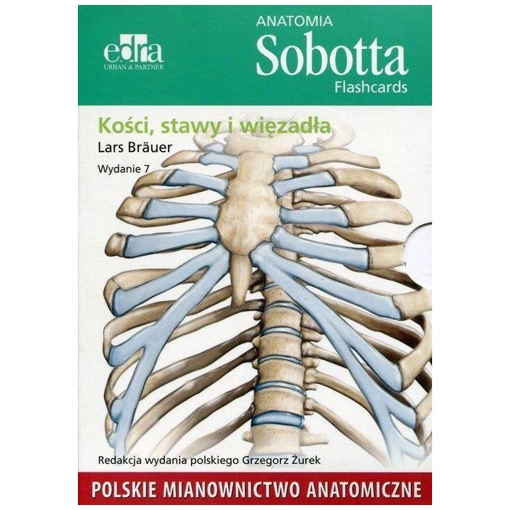 Anatomia Sobotta. Flashcards - Kości, stawy..pol.