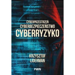 Cyberprzestrzeń, cyberbezpieczeństwo, cyberryzyko
