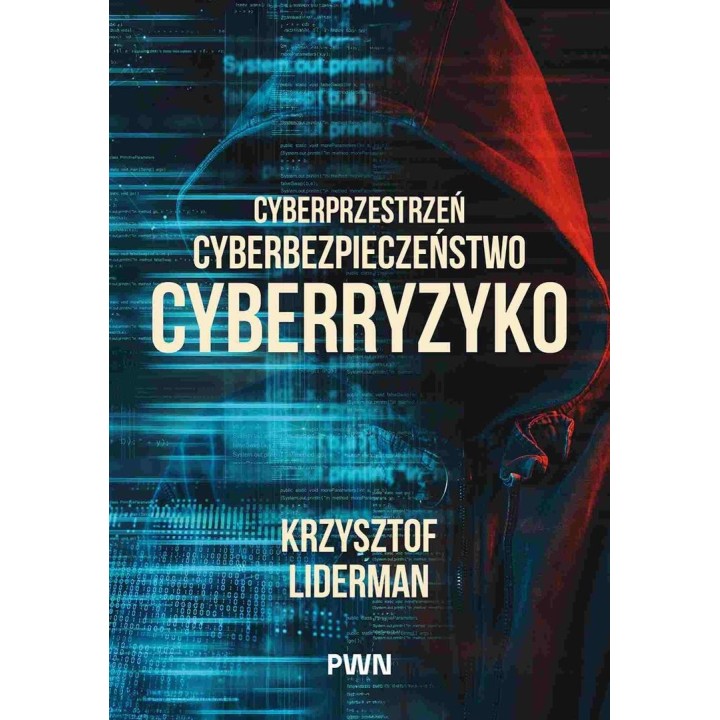 Cyberprzestrzeń, cyberbezpieczeństwo, cyberryzyko