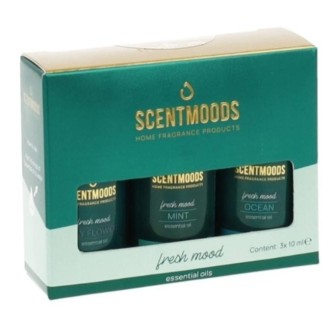 Zestaw olejków zapachowych Fresh Mood 3x50ml