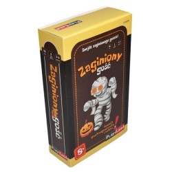 Zaginiony gość