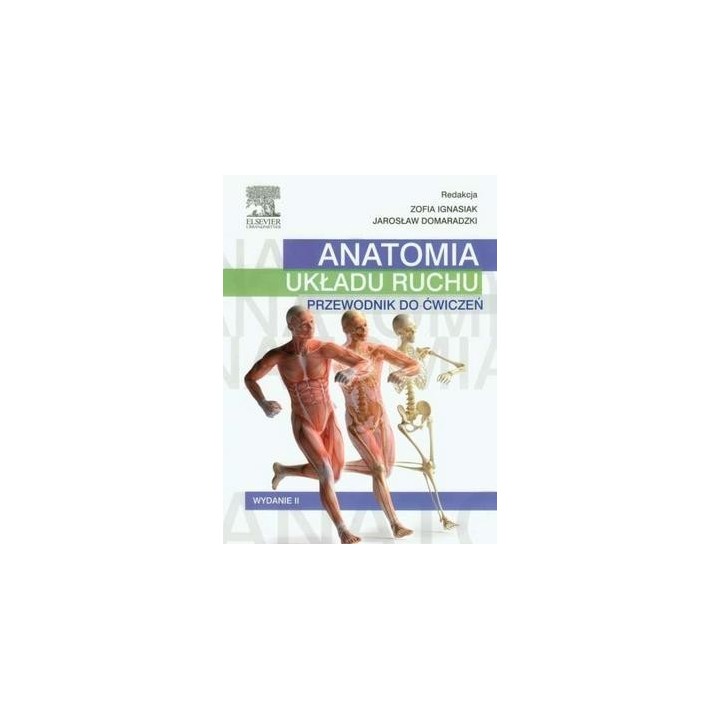 Anatomia układu ruchu. Przewodnik do ćwiczeń