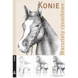 Warsztaty rysunkowe - Konie