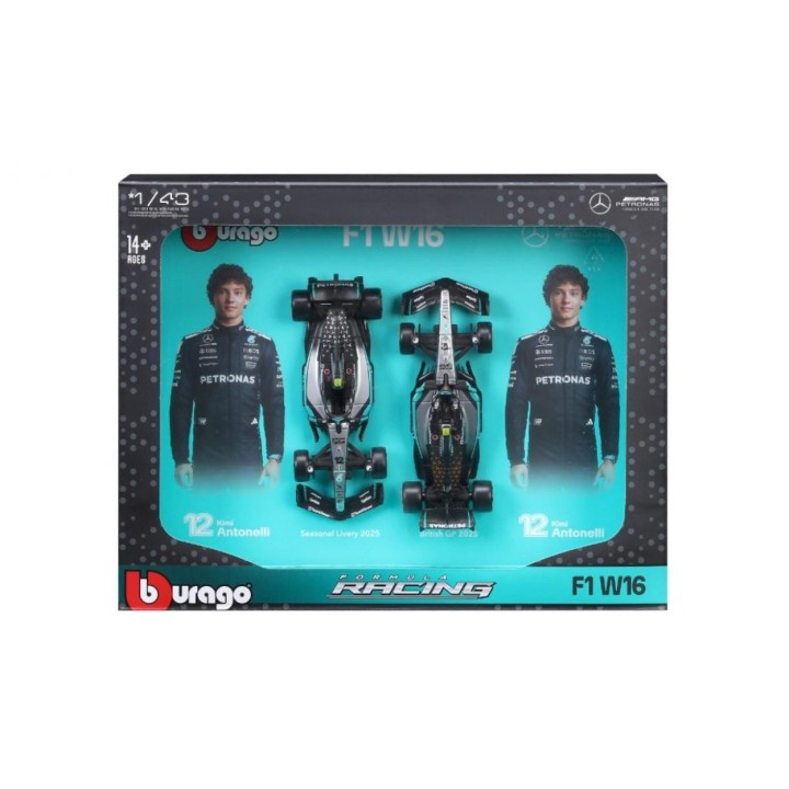 Formula (Without Helmet & Stand) 1:43