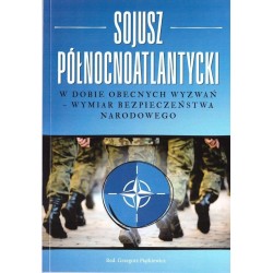 Sojusz Północnoatlantycki w dobie obecnych...