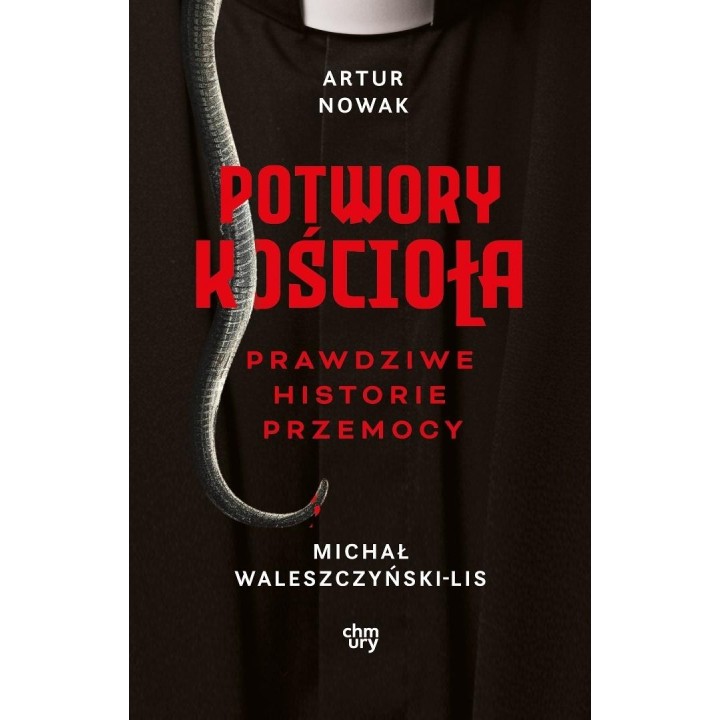 Potwory Kościoła. Prawdziwe historie przemocy