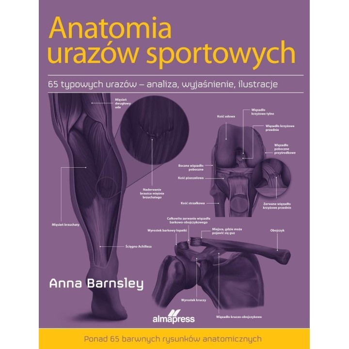 Anatomia urazów sportowych