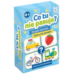 Co tu nie pasuje? mini