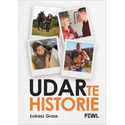 Udarte historie