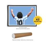 Plakat Diego A3 (w tubie)