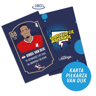 Karta do gry Wydarzyło się naprawdę Dijk
