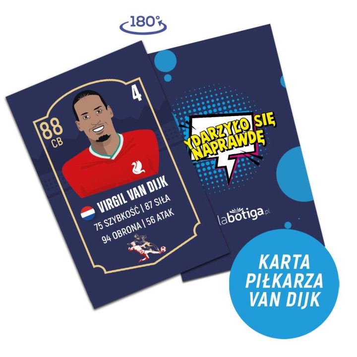 Karta do gry Wydarzyło się naprawdę Dijk