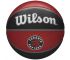 Piłka Wilson NBA Team Toronto Raptors Ball