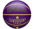 Piłka Wilson NBA Player Icon LeBron James Outdoor Ball