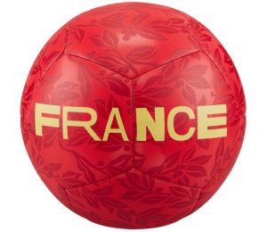 Piłka nożna Nike Francja DQ7285