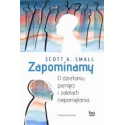 Zapominamy. O działaniu pamięci i zaletach..
