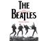 The Beatles. Jedyna autoryzowana biografia (Wydanie III)
