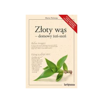 Złoty wąs - domowy żeń-szeń