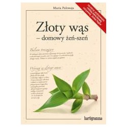 Złoty wąs - domowy żeń-szeń