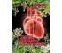 Zielarskie kuracje na serce, nerwy i bezsenność