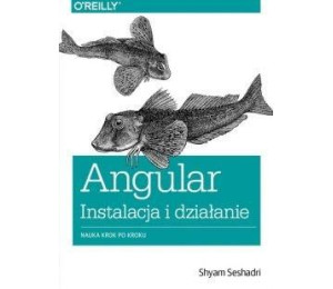 Angular instalacja i działanie