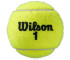 Piłki do tenisa ziemnego Wilson Roland Garros All Court 3 szt. WRT126400