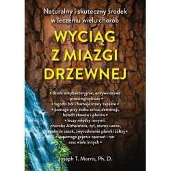 Wyciąg z miazgi drzewnej