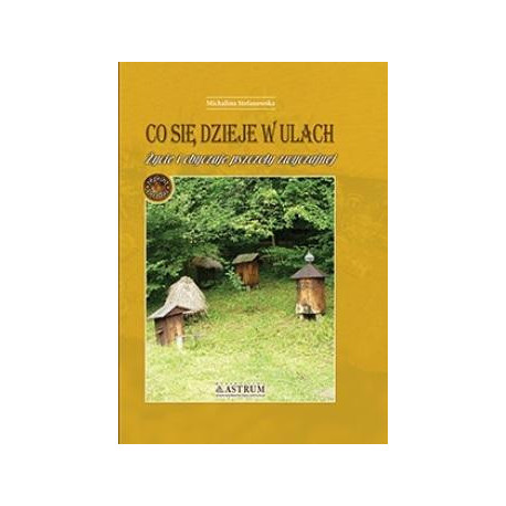 Co się dzieje w ulach