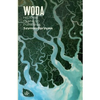 Woda. Historia pewnego porwania