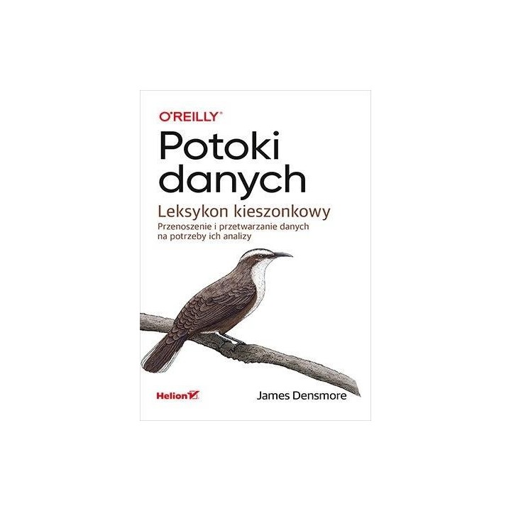 Potoki danych. Leksykon kieszonkowy