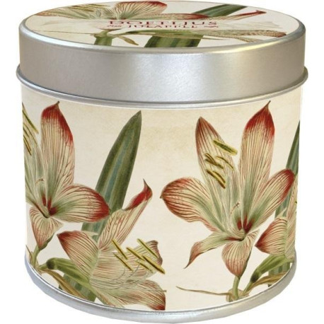 Zapachowa świeczka 202 - amarylis - zapach jabłko