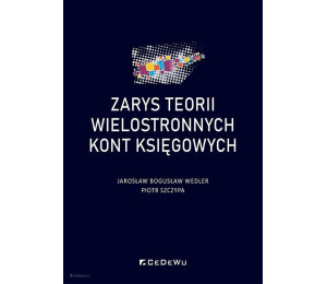 Zarys teorii wielostronnych kont księgowych