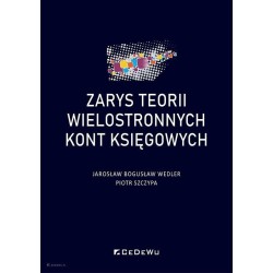 Zarys teorii wielostronnych kont księgowych