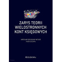 Zarys teorii wielostronnych kont księgowych