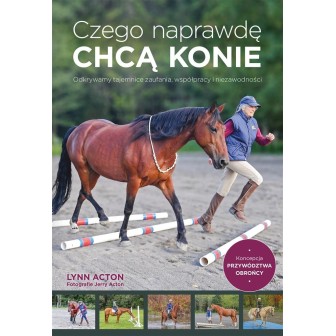 Czego naprawdę chcą konie