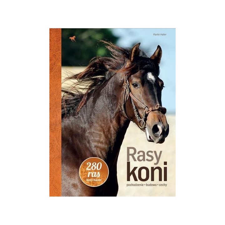 Rasy koni
